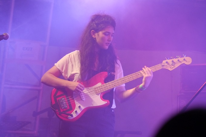 hinds-in-8.jpg